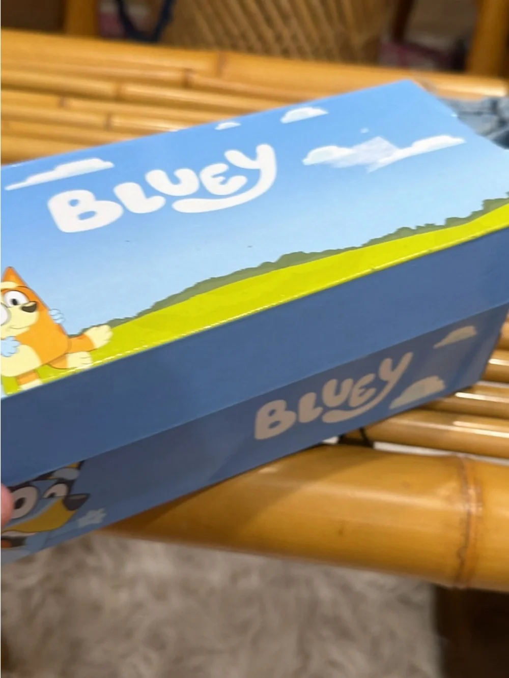 Bluey Kids Blue & Orange Cartoon Dog Slide Sandals